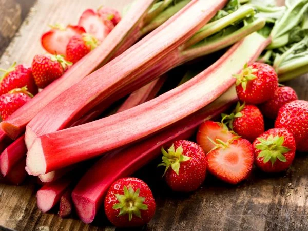Rebarbora – nebezpečná a zdravá zároveň