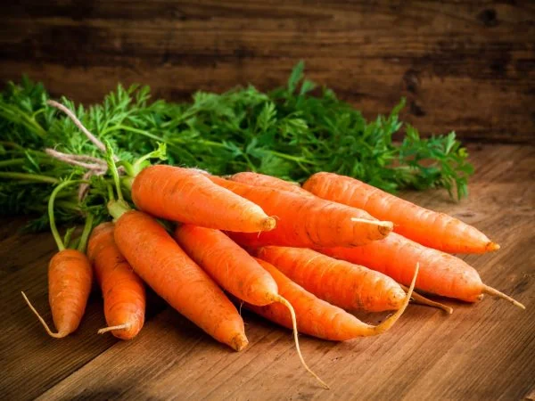 Mrkev je prý oranžová díky nizozemskému králi!